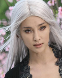 Li Bingbing